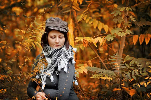 Altın sonbahar — Stok fotoğraf