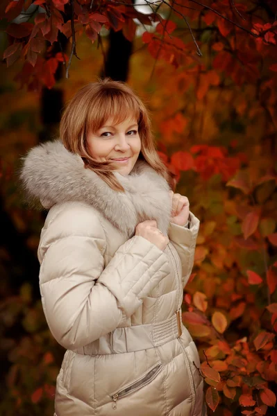 Gouden herfst — Stockfoto