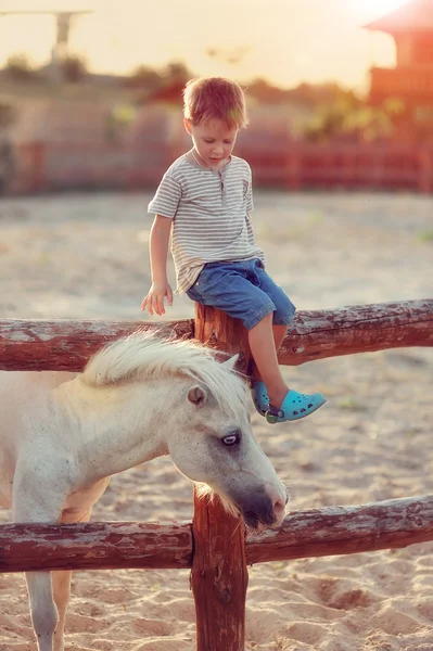 Мальчик на ранчо — стоковое фото