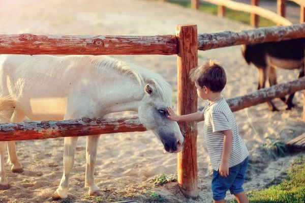 El chico en el rancho —  Fotos de Stock