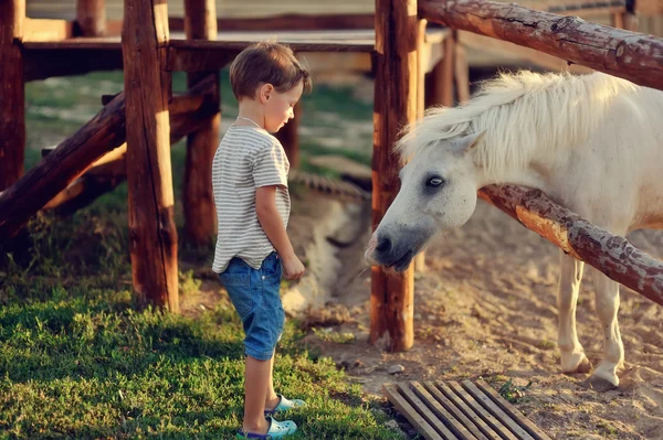 The boy on the ranch — Stock Photo, Image