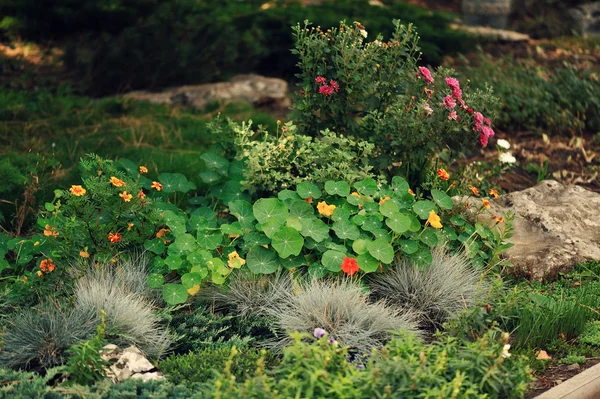 Giardino paesaggistico fiorito — Foto Stock