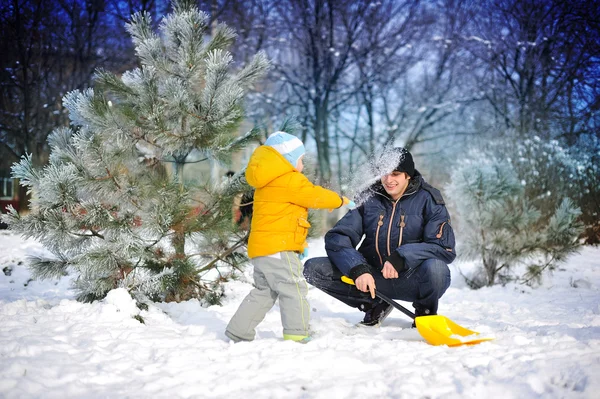 Passeggiata invernale — Foto Stock