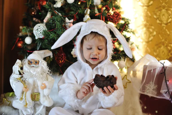 Junge und ein Weihnachtsbaum — Stockfoto