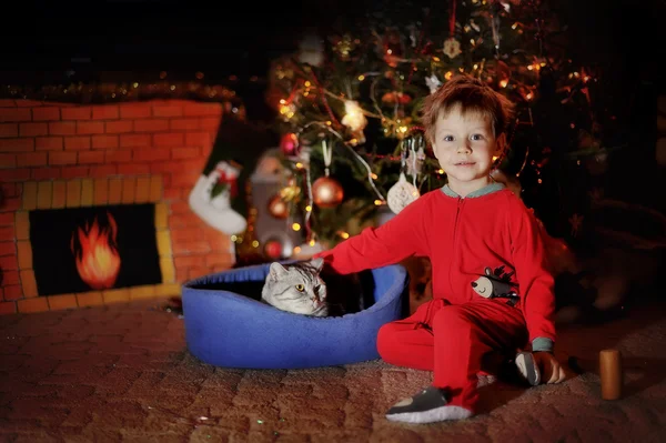 Jongen en een kerstboom — Stockfoto