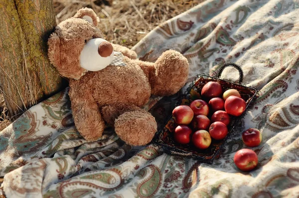 장난감 곰 — 스톡 사진