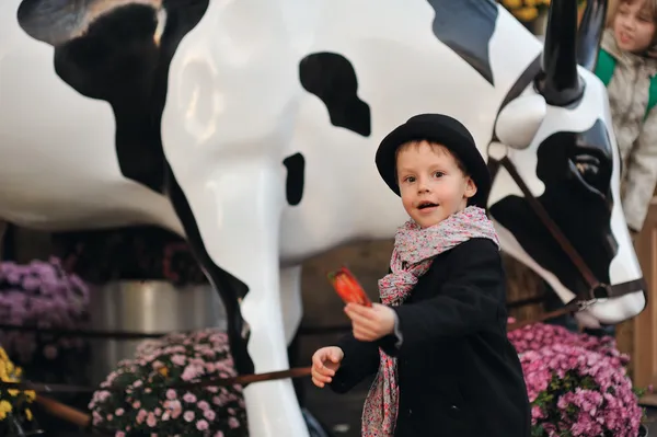 Boy and animals — Stock Photo, Image