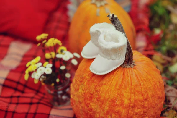 Harvested pumpkins with fall leaves — Stock Photo, Image