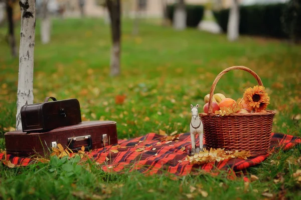 Picnic — Foto Stock