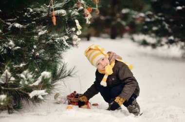 Kış bir yürüyüş