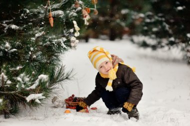 Kış bir yürüyüş