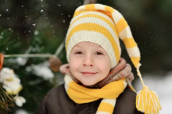 Passeio de inverno — Fotografia de Stock