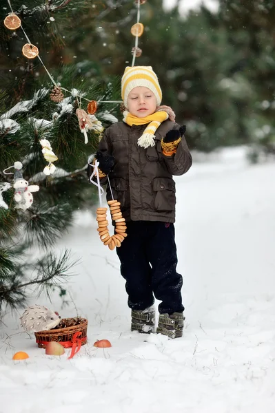 Winter wandelen — Stockfoto