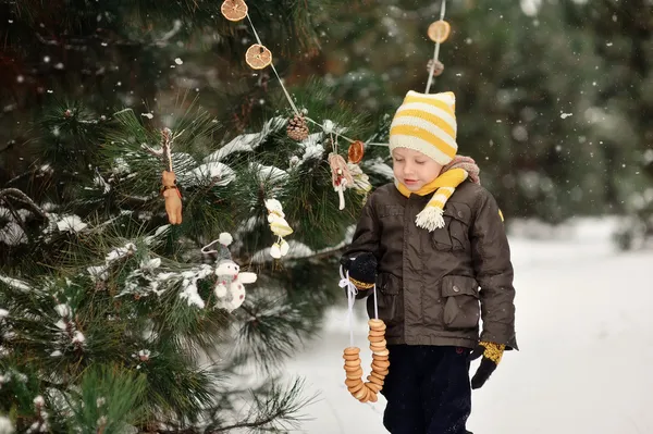 Winter wandelen — Stockfoto