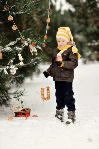 Winter Walk — Stock Photo, Image