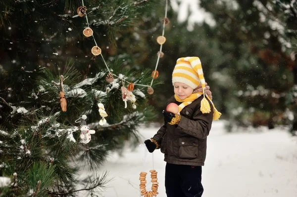 Passeio de inverno — Fotografia de Stock