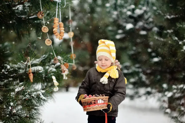 Passeggiata invernale — Foto Stock