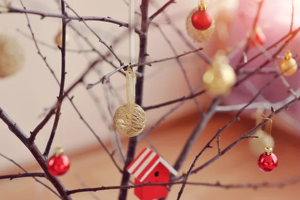 Wunder ein Baum — Stockfoto