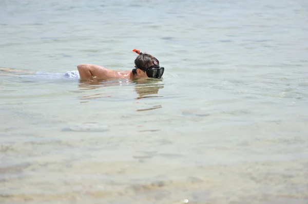 The diver — Stock Photo, Image