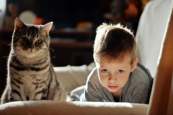 Jongen met een kat — Stockfoto