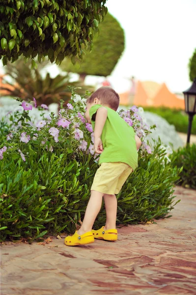 Jongen en bloemen — Stockfoto