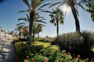 Café avuç içi altında