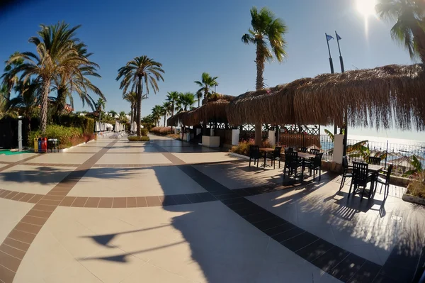 Cafetería debajo de las palmas —  Fotos de Stock