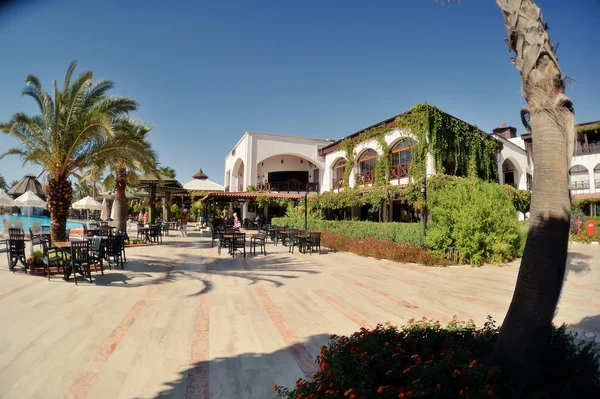 Cafe under the palms — Stock Photo, Image