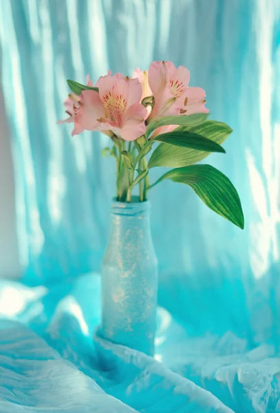 Decorative flowers — Stock Photo, Image