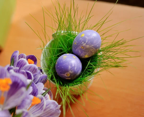 Květiny a velikonoční vajíčka — Stock fotografie