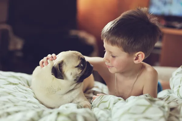 Boy and pug — Stock Photo, Image