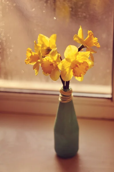 Regen und Blumen — Stockfoto