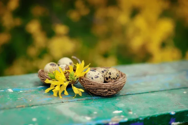 Neues Leben — Stockfoto