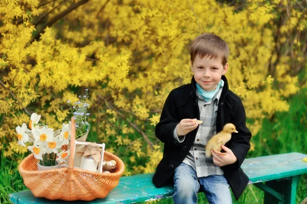 Junge und Vögel — Stockfoto