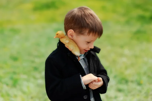 Мальчик и птицы — стоковое фото