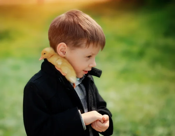 Jongen en vogels — Stockfoto