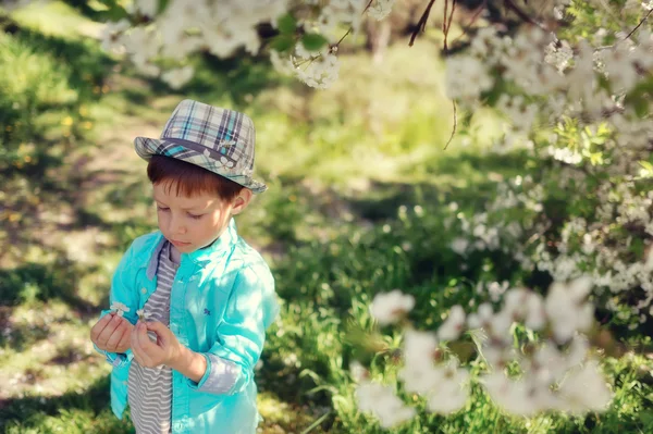 Menino em um jardim exuberante — Fotografia de Stock