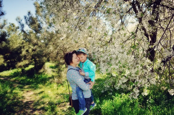 Jardín con flores de primavera —  Fotos de Stock