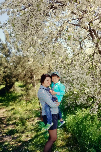 Primavera giardino fiorito — Foto Stock