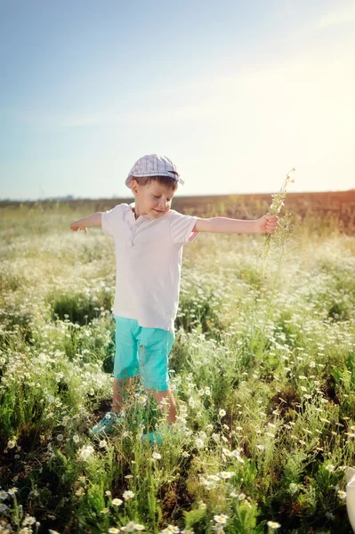 Ängen blommor — Stockfoto