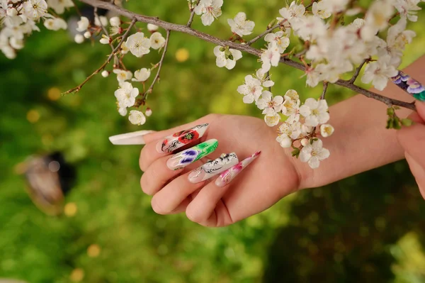 As mãos de mulher com manicura — Fotografia de Stock