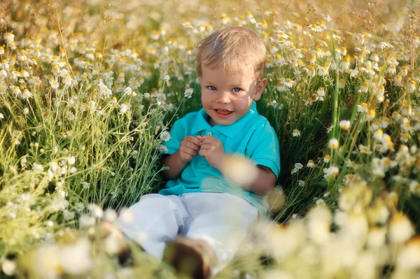 Papatyalar ve bebek — Stok fotoğraf