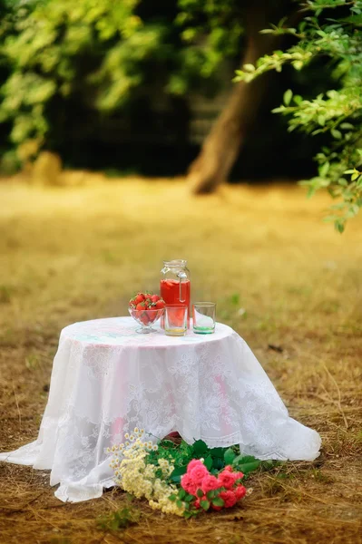 Truskawka piknik — Zdjęcie stockowe