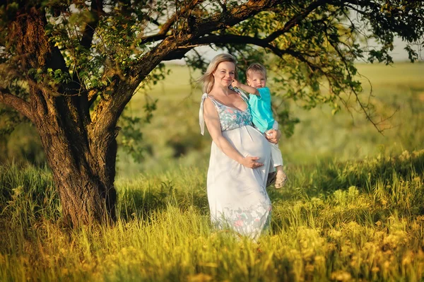 Sommerspaziergang — Stockfoto