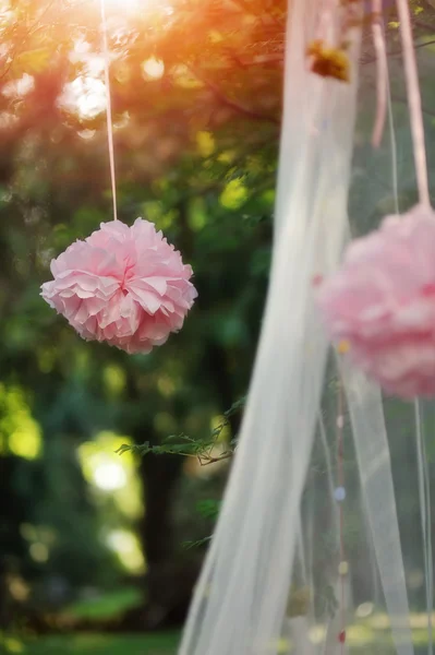 Peonía rosa —  Fotos de Stock