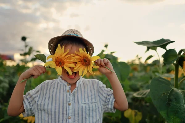 Child in sunflowers — Stock Photo, Image