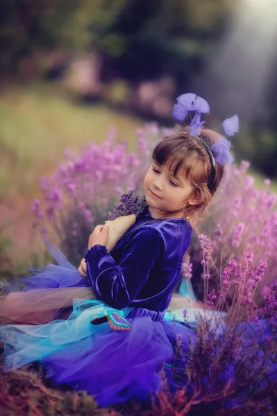 Campo de lavanda — Foto de Stock