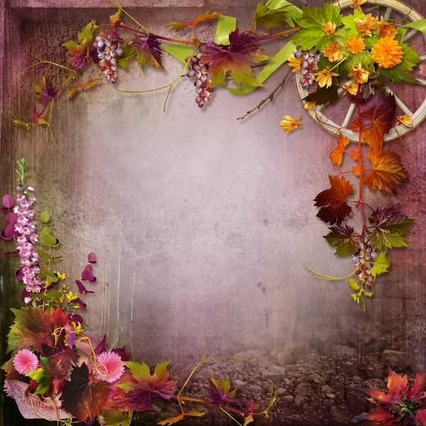 Herbstliche Komposition — Stockfoto