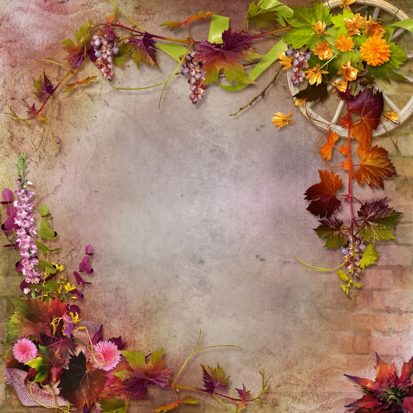 Herbstliche Komposition — Stockfoto