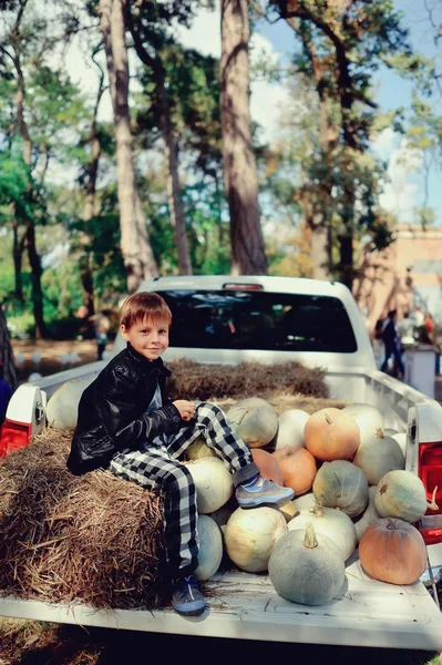 Cosecha de otoño —  Fotos de Stock